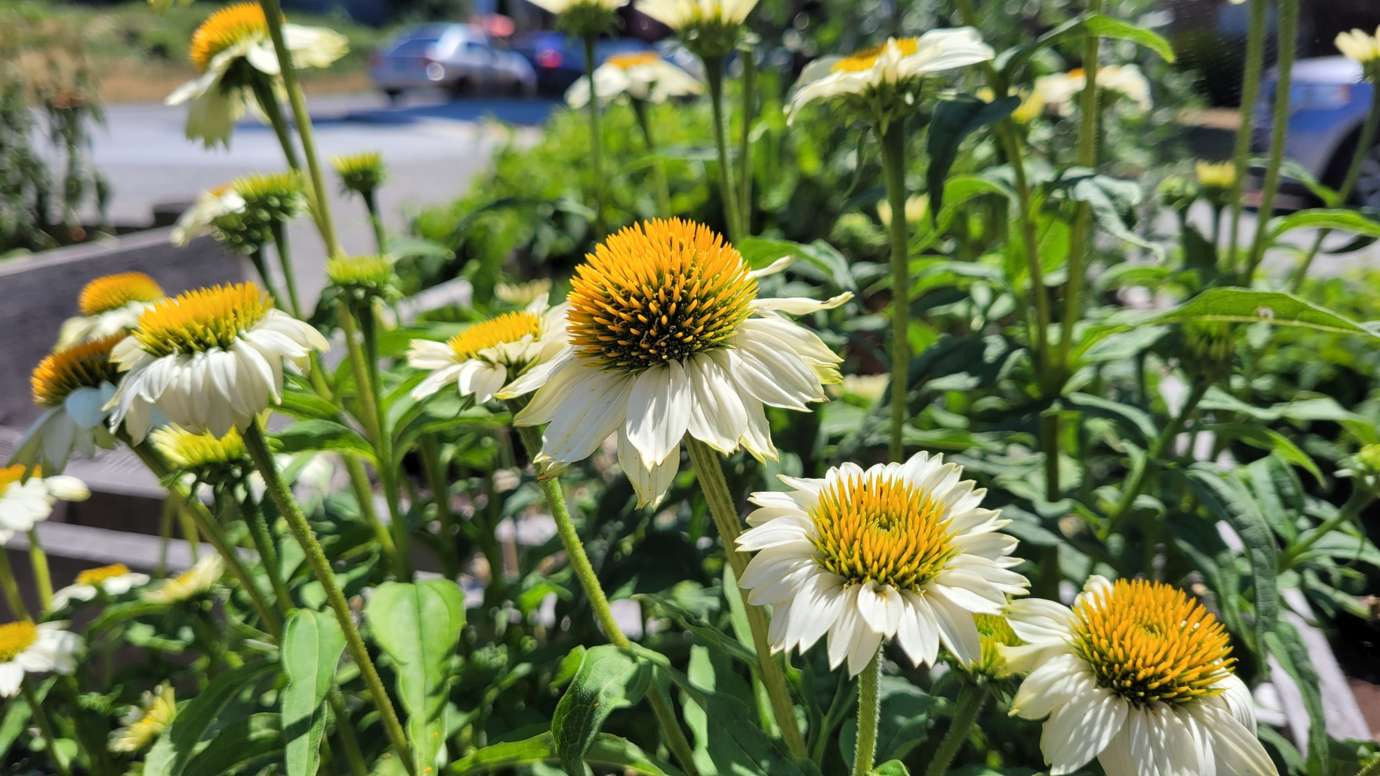 Welcome Table Christian Church